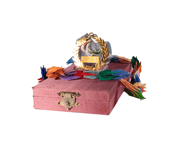 360 1 Indigenous Sport Heroes Education Experience